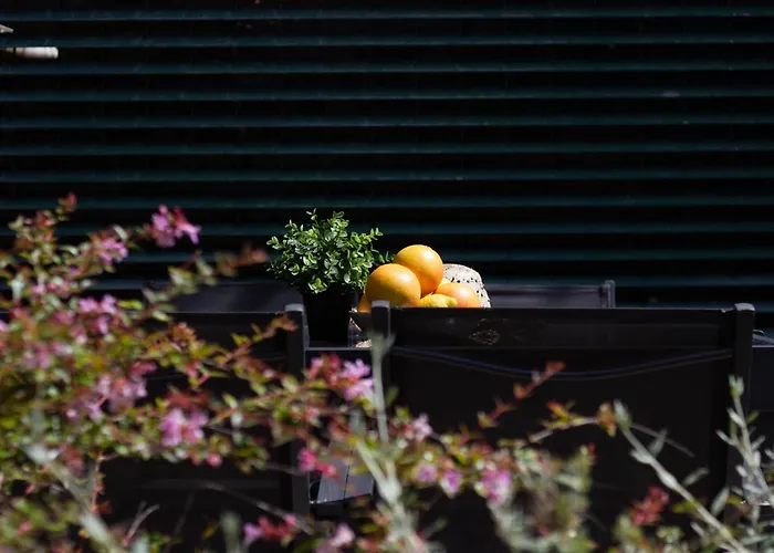 Lejlighed Ermes By Portofinohomes *